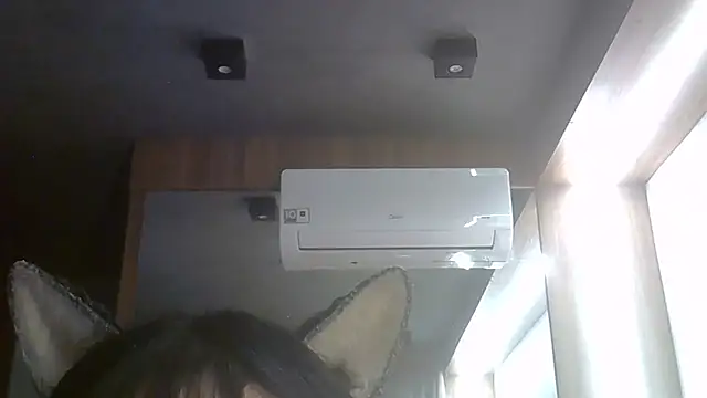 SkinnyKitten webcam