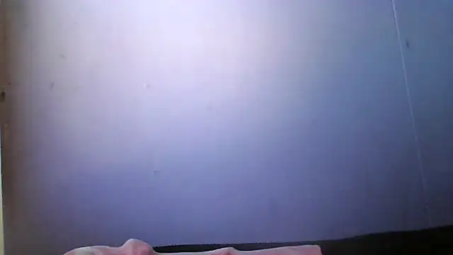 Virtual_nekoo webcam