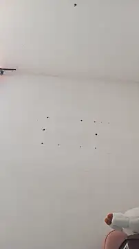mitzukywinteer webcam