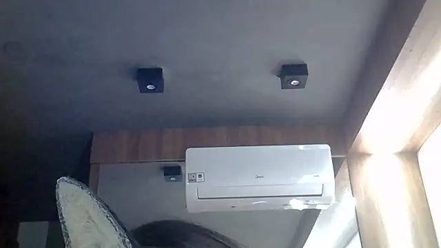 SkinnyKitten webcam
