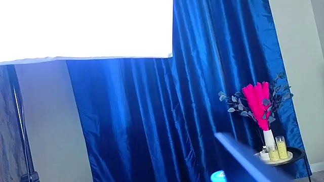 PerryKitty webcam