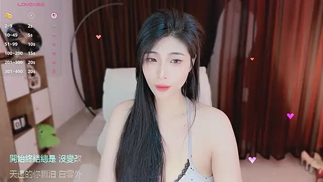 Vaidurya-Yolo webcam