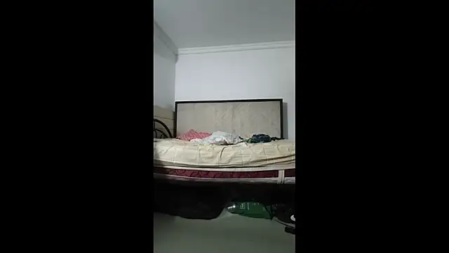 sky_dancers webcam