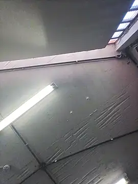 MysterBearMG webcam