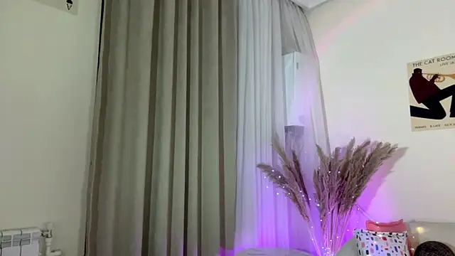ParsedFix webcam
