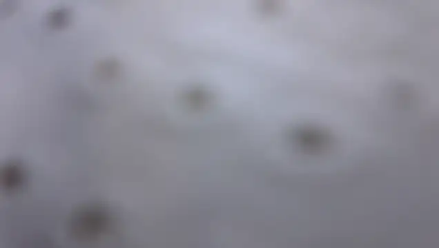 Stanleyandjhosep webcam