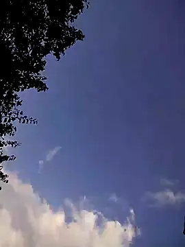 Flacara100 webcam