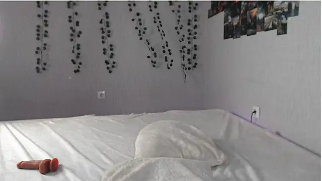 lilidip webcam