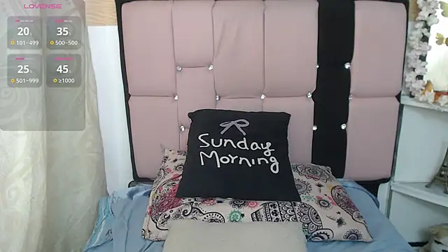 palmer_mIix webcam