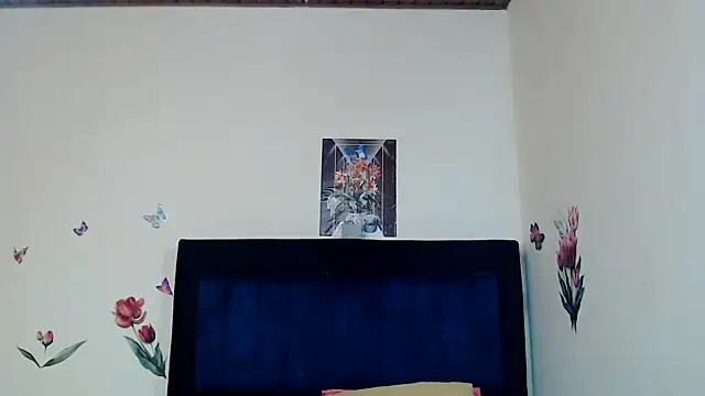 ANDRYXS100 webcam