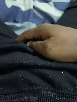 Telugu_Andhrawala_0304 webcam