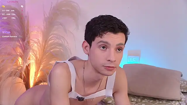 VicenteFerrer webcam