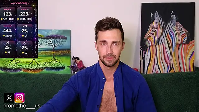 Promethe_us webcam