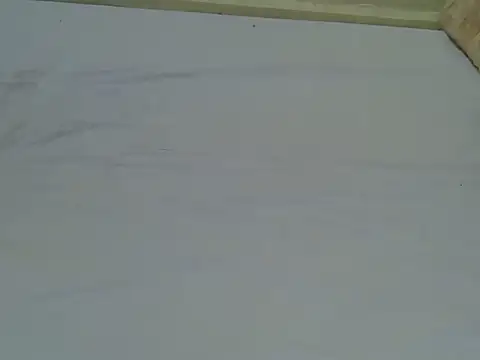 candililie webcam