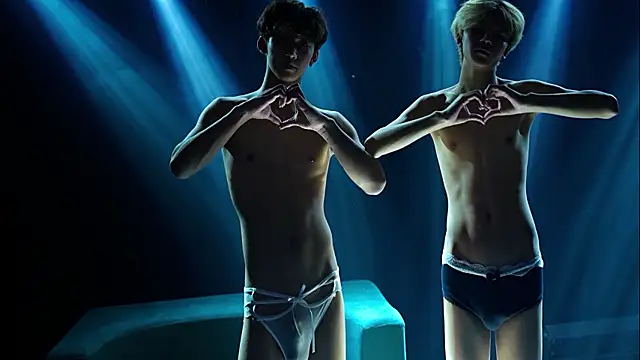 Exo-cbo webcam