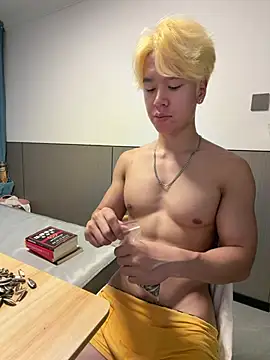 SYT_SGe webcam