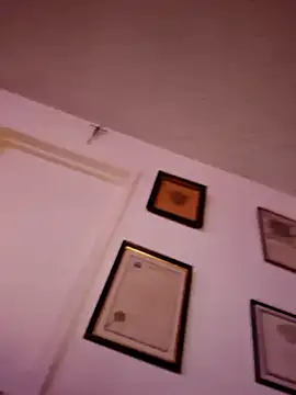 OscarbidD661 webcam