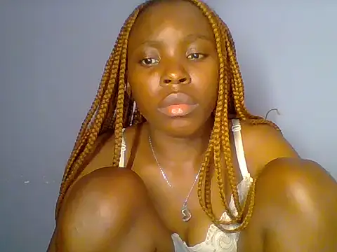 Chocolate-brownie webcam