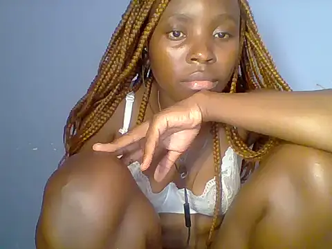 Chocolate-brownie webcam