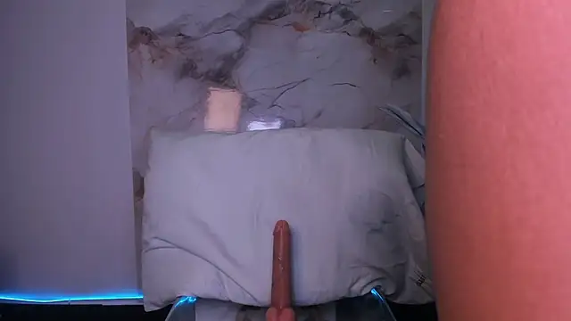 Calyselen webcam
