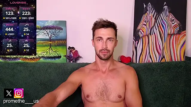 Promethe_us webcam