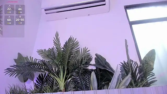 stephanymonroe webcam