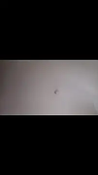 kfenboykitty webcam