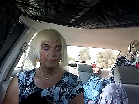 dustbunny64 webcam