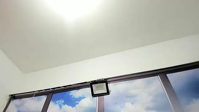 DilanAndKing webcam