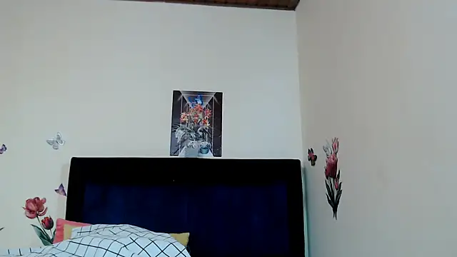 ANDRYXS100 webcam