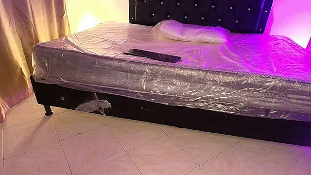 Ari_stone webcam