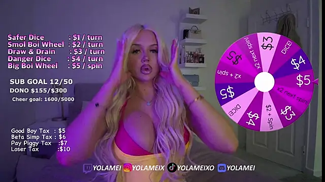 yolamei webcam