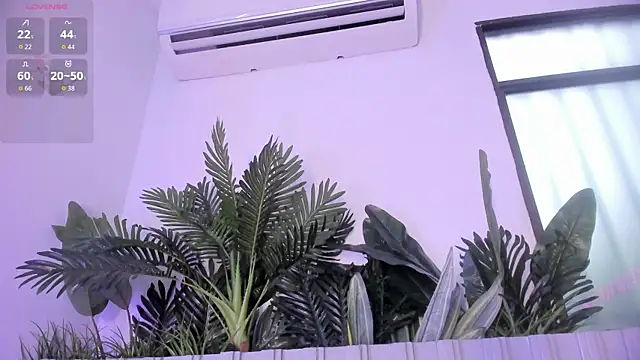stephanymonroe webcam