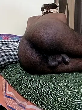 Chocolate_stud10 webcam