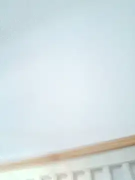 Levarboy webcam