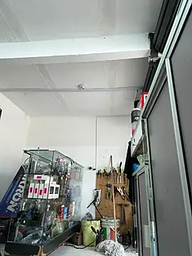 Paul22cm- webcam