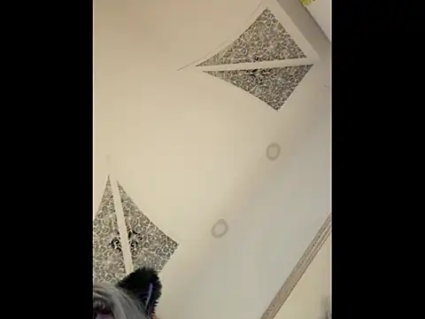 Nioki_ webcam