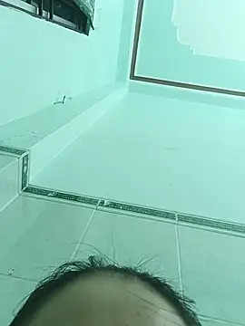 Nembibi webcam