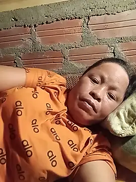 Ip34 webcam