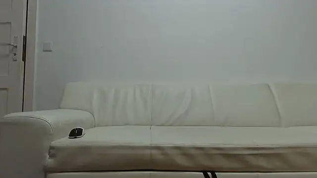fit_ass_2021 webcam