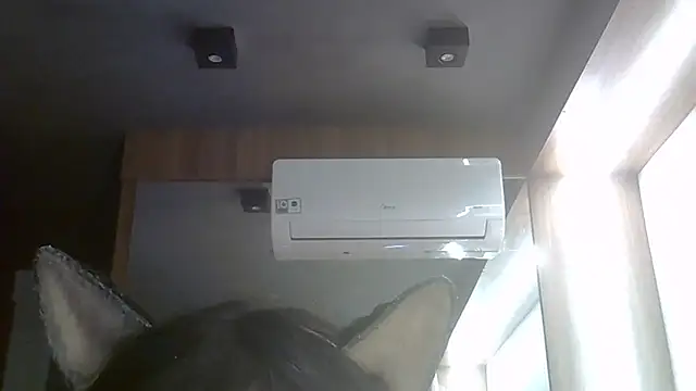 SkinnyKitten webcam