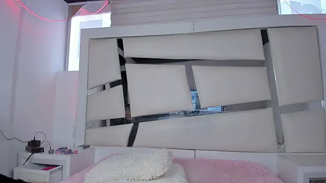 chrystal_js webcam