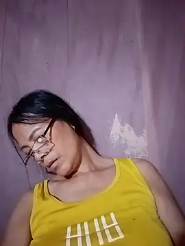 toyo_668 webcam