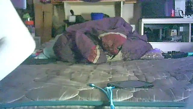 CR3M3_FIR3 webcam