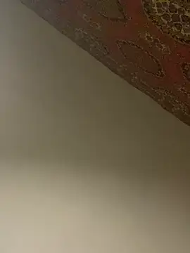 badfox5000 webcam