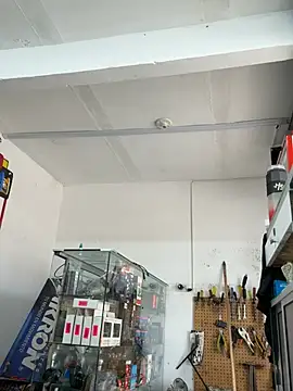 Paul22cm- webcam