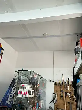Paul22cm- webcam