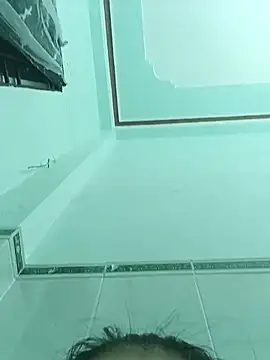 Nembibi webcam
