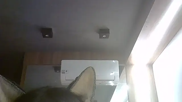 SkinnyKitten webcam