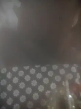 8414033011_wpp webcam